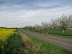 Unterwegs zwischen Zedtlitz und Wyhra